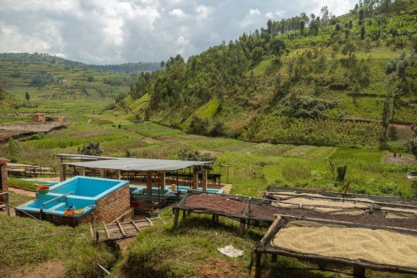 Comment donner une seconde vie à vos vieux vêtements pour éviter le gaspillage ?